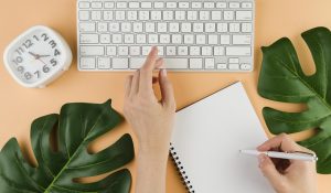 SEO Content Writer